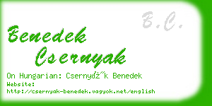 benedek csernyak business card